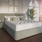 Матрас Evita Rose Plus 90х186